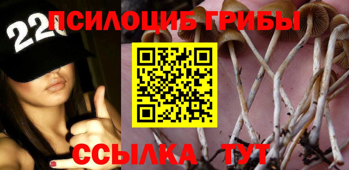 Псилоцибиновые грибы Cubensis  Галлюциногенные грибы мицелий  Вход с VPN  Рязань 
